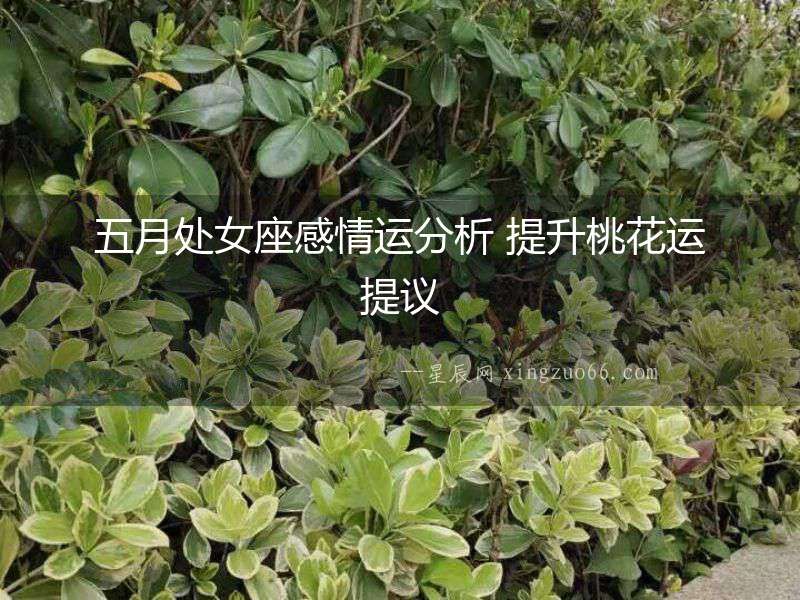 五月處女座感情運分析 提升桃花運提議