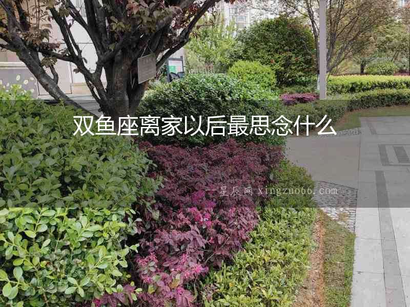 雙魚(yú)座離家以后最思念什么