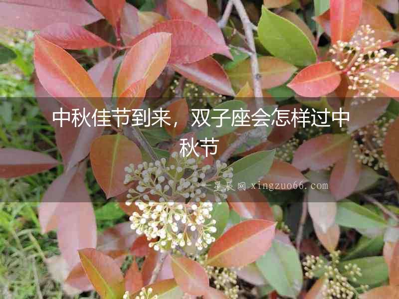 中秋佳節到來，雙子座會怎樣過中秋節
