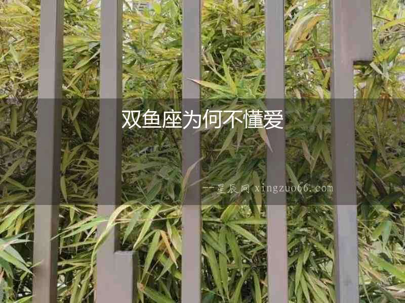 雙魚座為何不懂愛