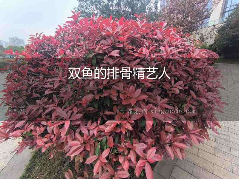 雙魚的排骨精藝人