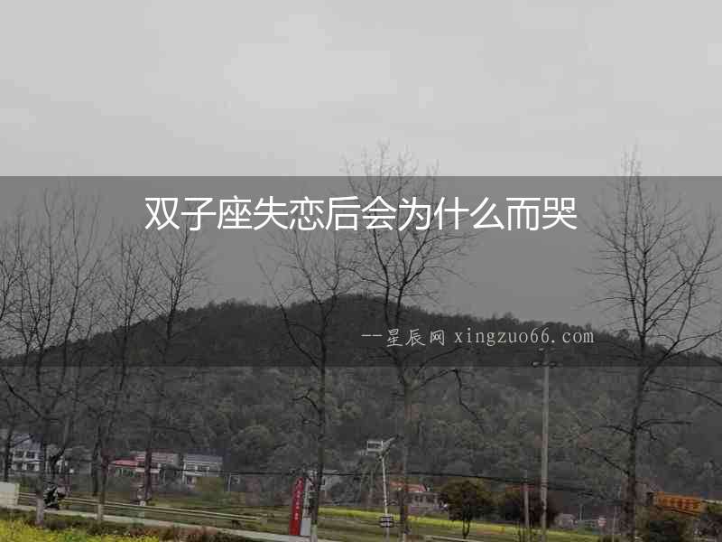 雙子座失戀后會為什么而哭