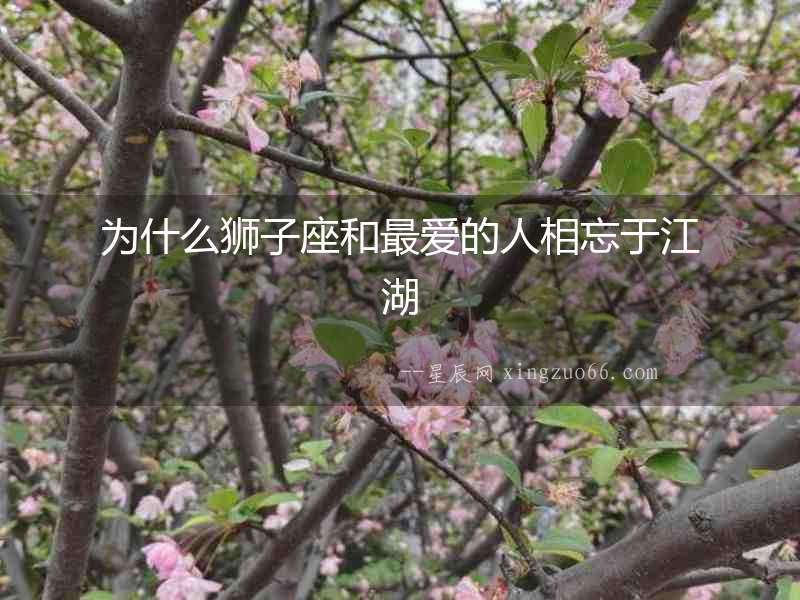 為什么獅子座和最愛(ài)的人相忘于江湖