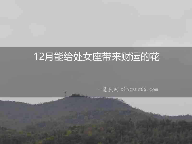 12月能給處女座帶來財運的花