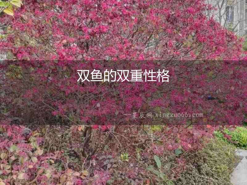 雙魚的雙重性格