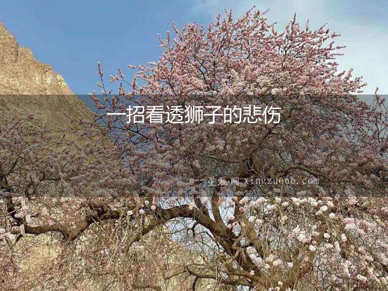 一招看透獅子的悲傷