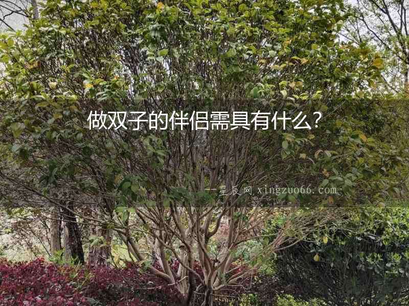 做雙子的伴侶需具有什么？