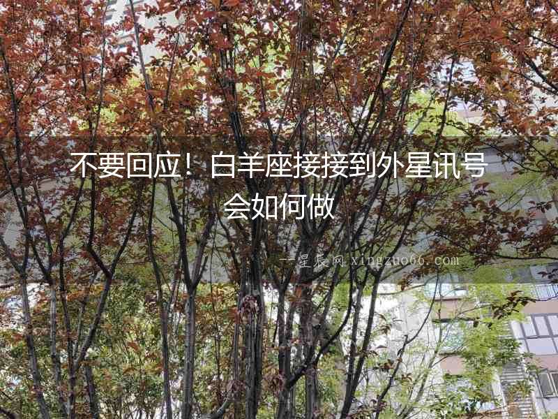 不要回應(yīng)！白羊座接接到外星訊號會如何做