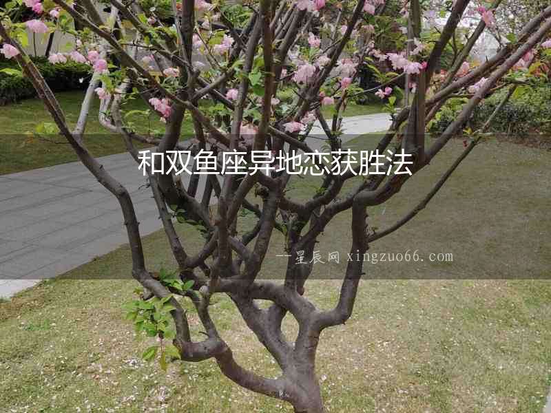 和雙魚座異地戀獲勝法