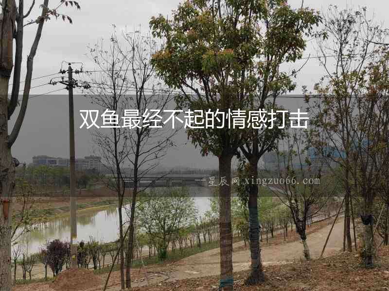 雙魚最經不起的情感打擊
