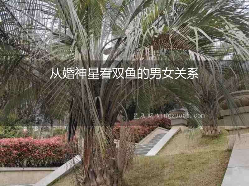 從婚神星看雙魚的男女關系
