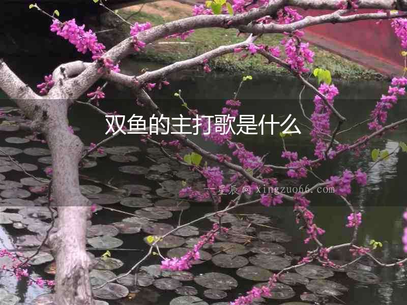 雙魚的主打歌是什么