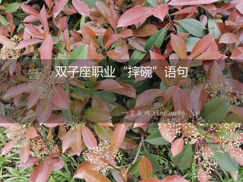 雙子座職業“摔碗”語句