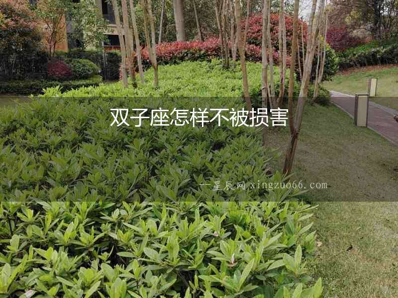 雙子座怎樣不被損害