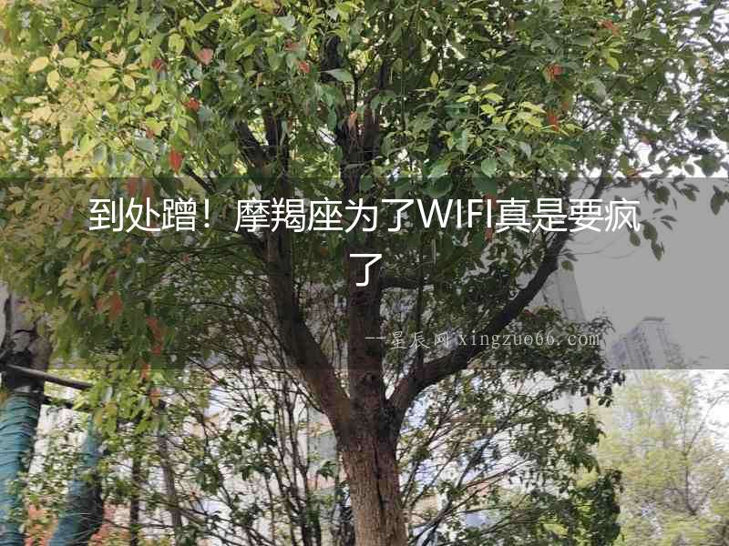 到處蹭！摩羯座為了WIFI真是要瘋了