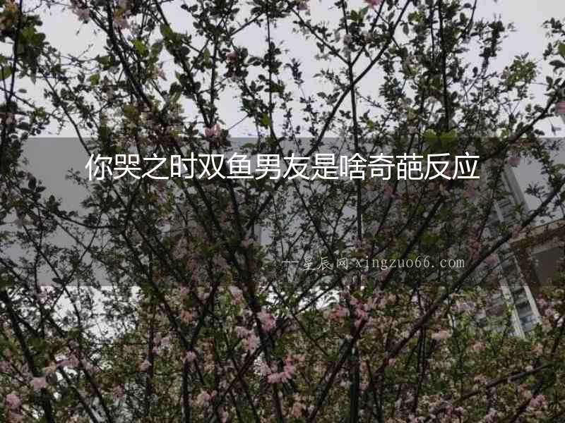 你哭之時雙魚男友是啥奇葩反應