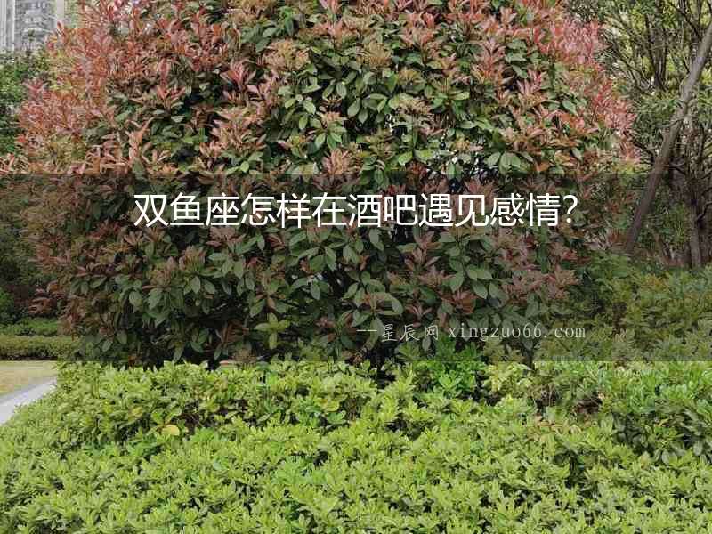 雙魚座怎樣在酒吧遇見感情？