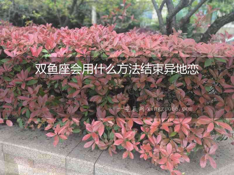 雙魚座會(huì)用什么方法結(jié)束異地戀