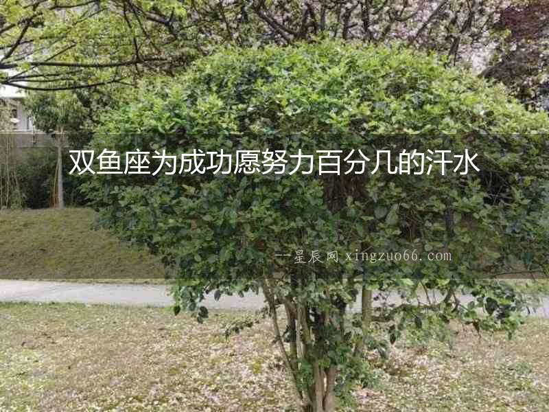 雙魚(yú)座為成功愿努力百分幾的汗水