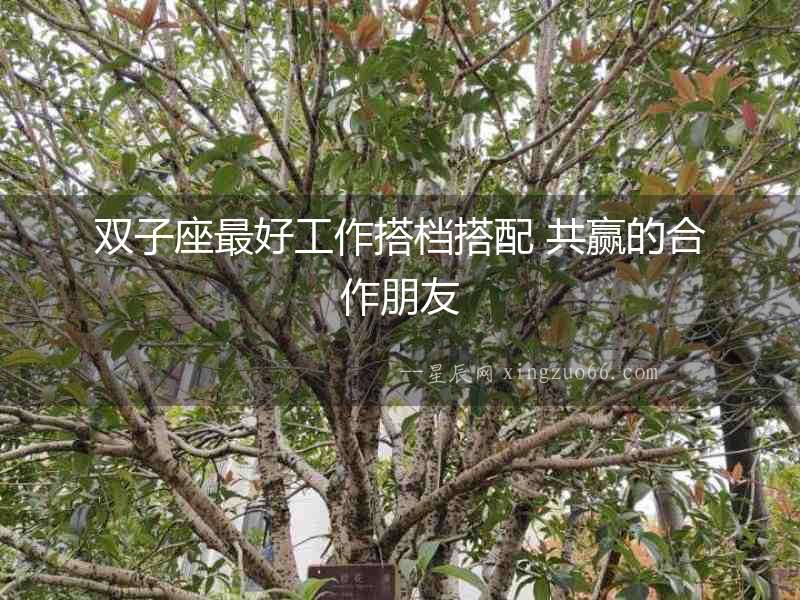 雙子座最好工作搭檔搭配 共贏的合作朋友