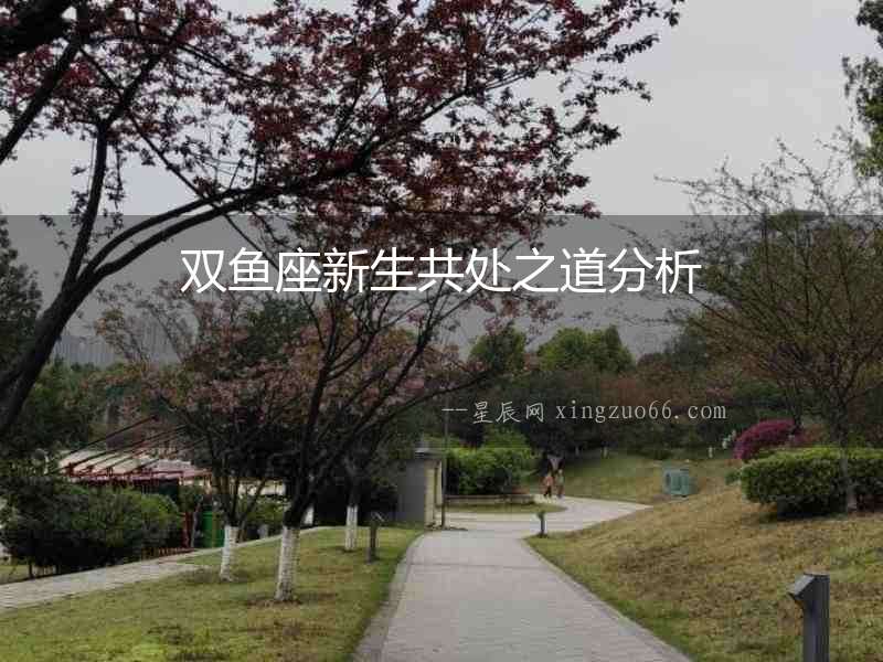 雙魚座新生共處之道分析