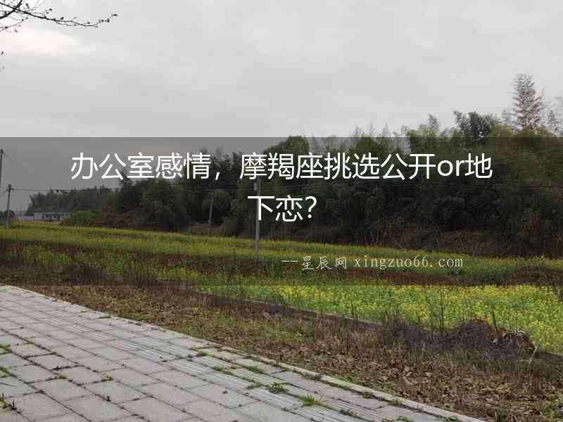 辦公室感情，摩羯座挑選公開or地下戀？