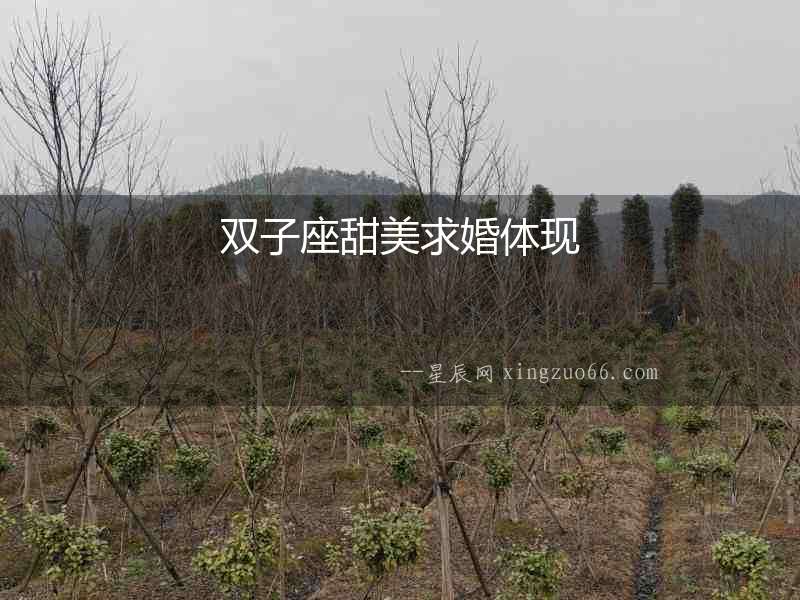 雙子座甜美求婚體現(xiàn)