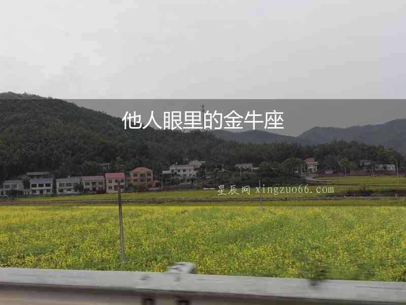 他人眼里的金牛座