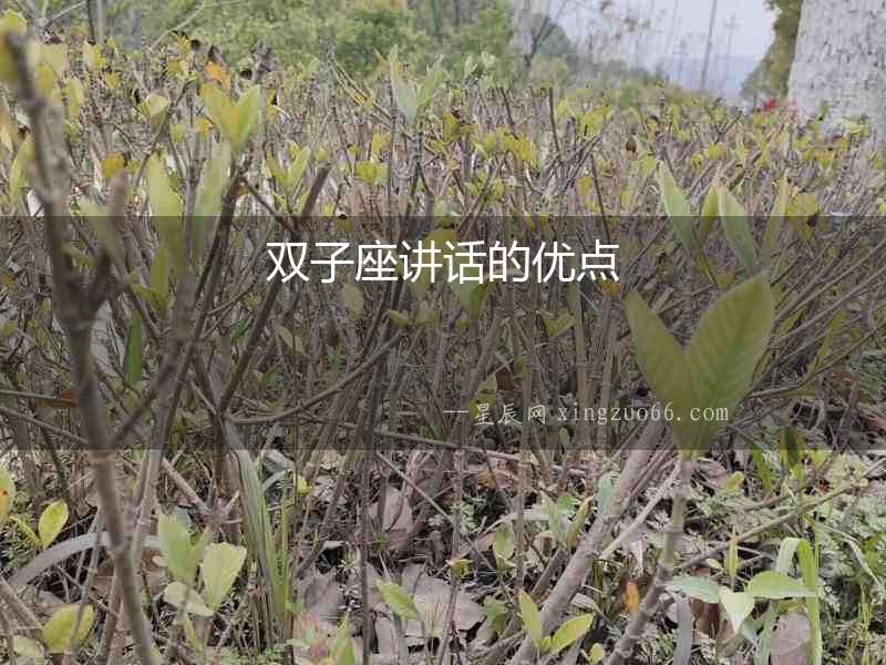 雙子座講話的優點