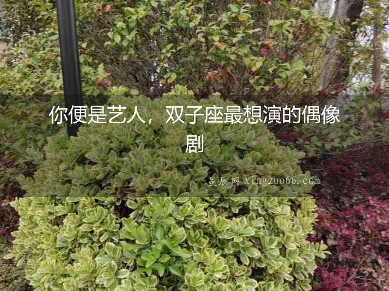 你便是藝人，雙子座最想演的偶像劇