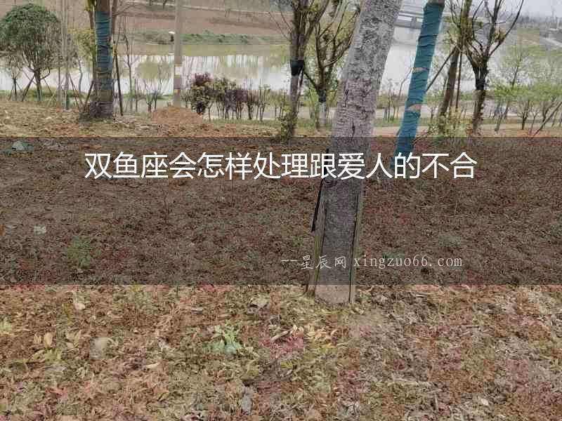 雙魚座會怎樣處理跟愛人的不合
