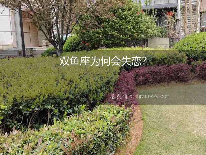 雙魚座為何會(huì)失戀？