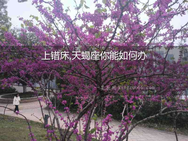 上錯床,天蝎座你能如何辦