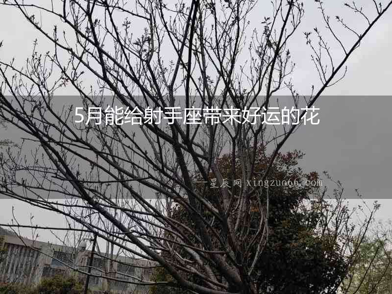 5月能給射手座帶來(lái)好運(yùn)的花
