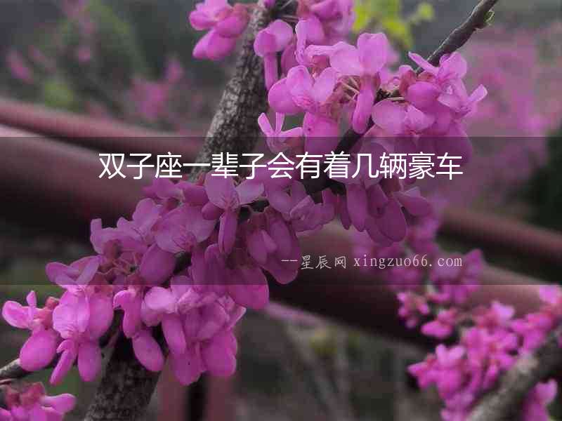 雙子座一輩子會(huì)有著幾輛豪車