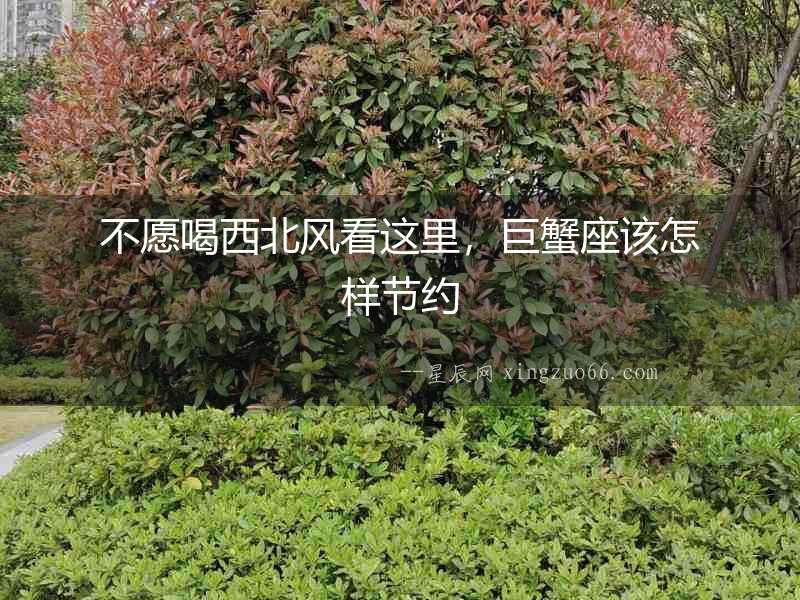 不愿喝西北風看這里，巨蟹座該怎樣節約
