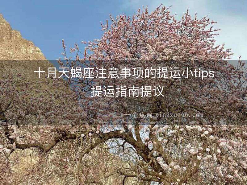 十月天蝎座注意事項(xiàng)的提運(yùn)小tips  提運(yùn)指南提議