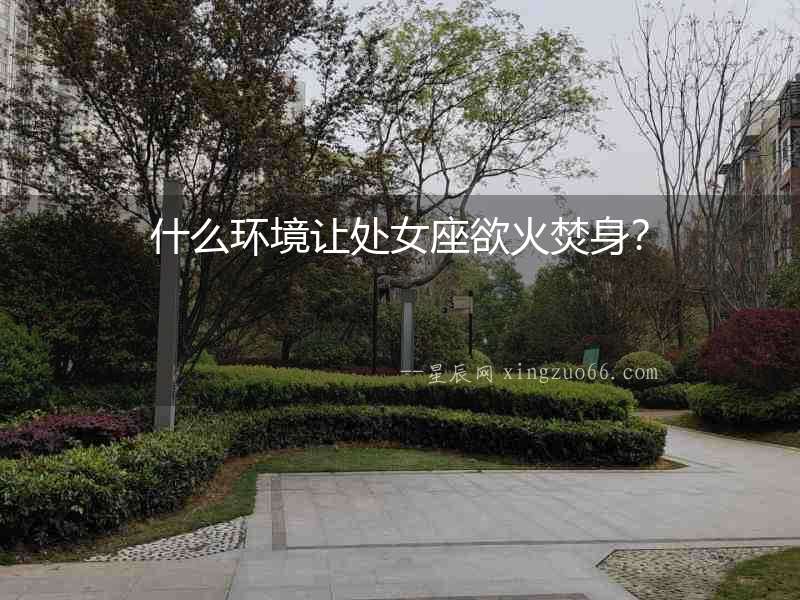 什么環境讓處女座欲火焚身？
