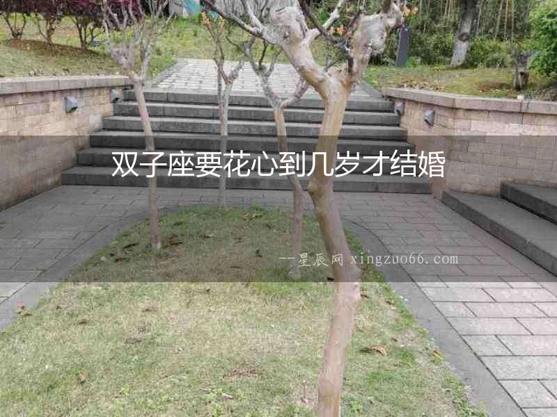 雙子座要花心到幾歲才結婚