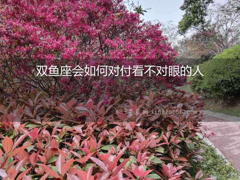 雙魚座會如何對付看不對眼的人