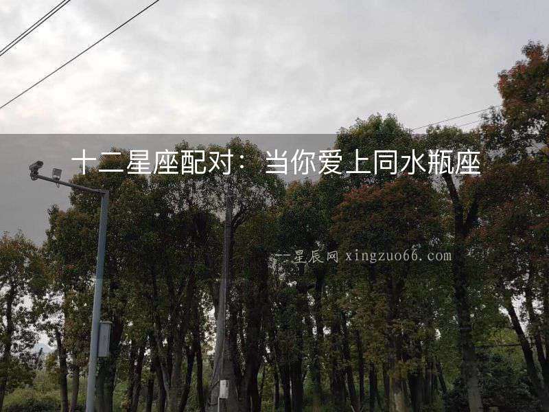 十二星座配對：當你愛上同水瓶座