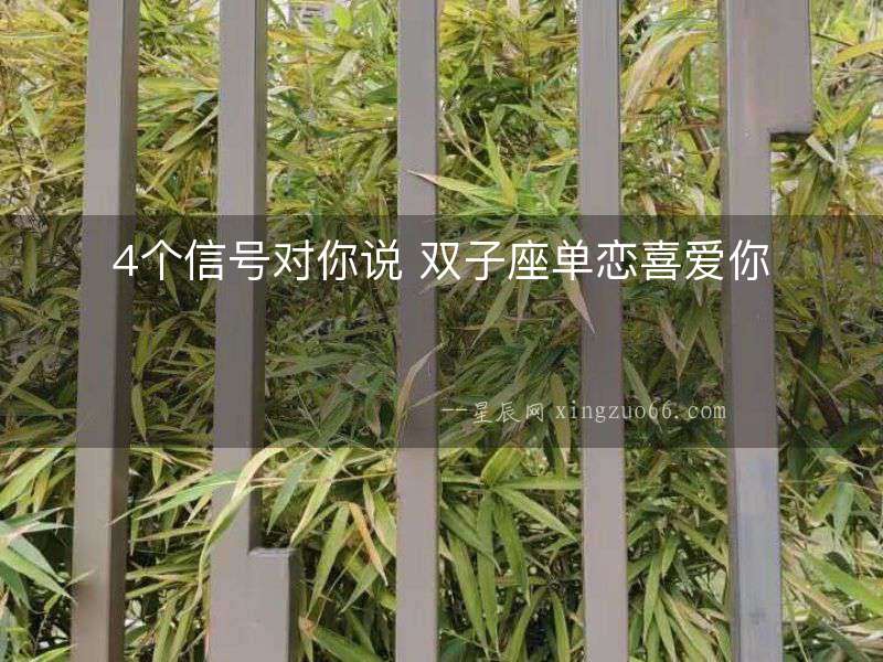 4個信號對你說 雙子座單戀喜愛你