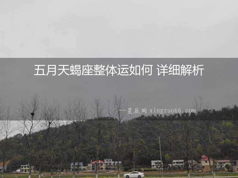 五月天蝎座整體運如何 詳細解析