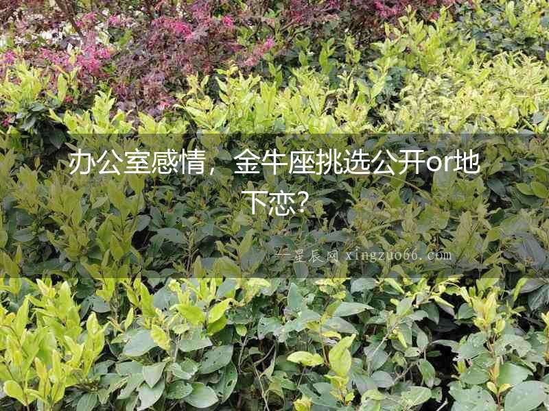 辦公室感情，金牛座挑選公開or地下戀？