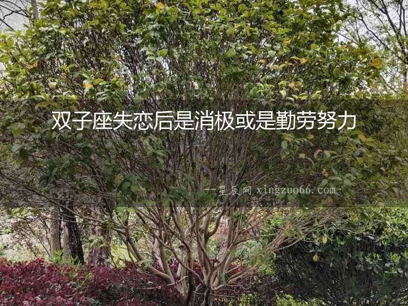 雙子座失戀后是消極或是勤勞努力