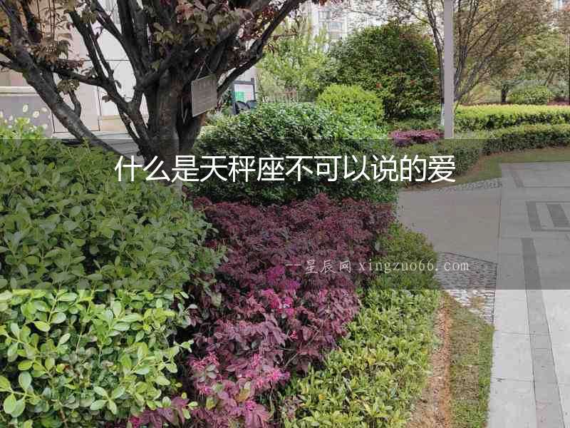 什么是天秤座不可以說(shuō)的愛(ài)