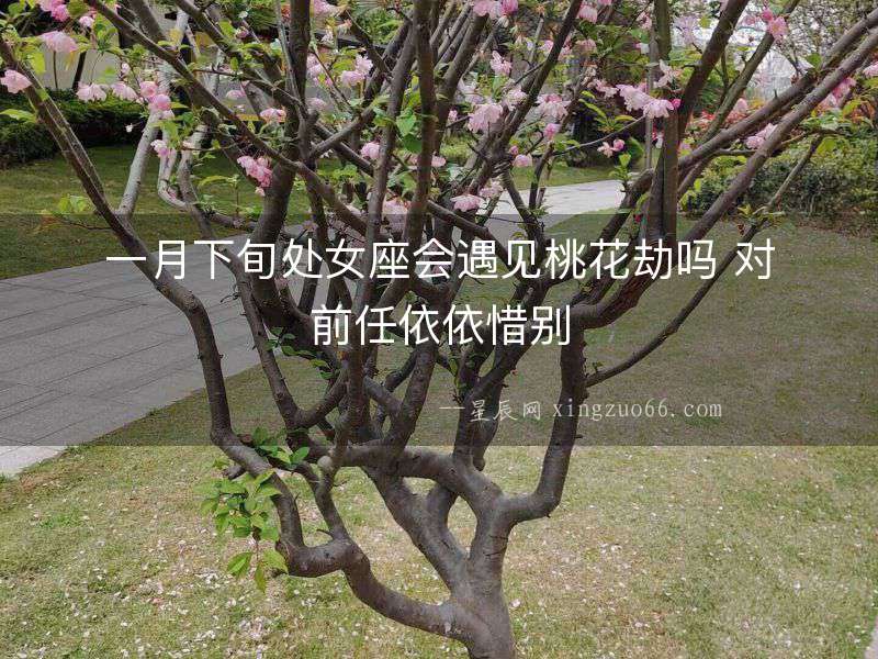 一月下旬處女座會(huì)遇見(jiàn)桃花劫嗎 對(duì)前任依依惜別