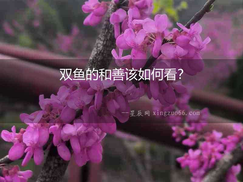 雙魚的和善該如何看？