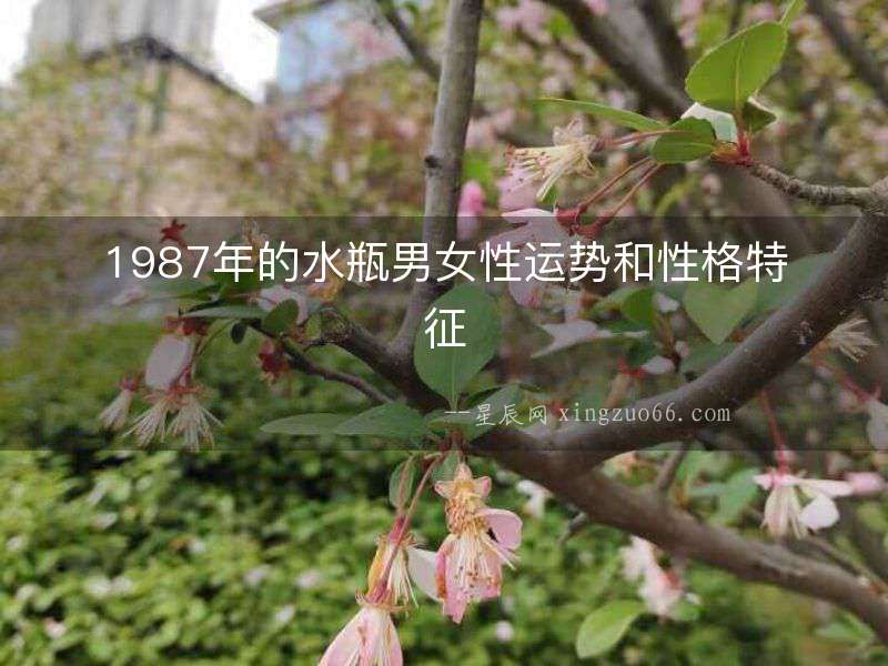 1987年的水瓶男女性運(yùn)勢(shì)和性格特征