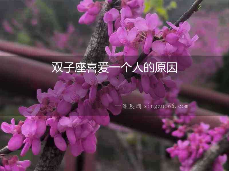 雙子座喜愛一個人的原因